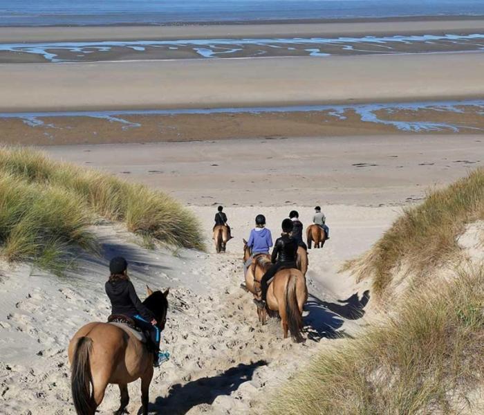 La Dune Blanche * Camiers